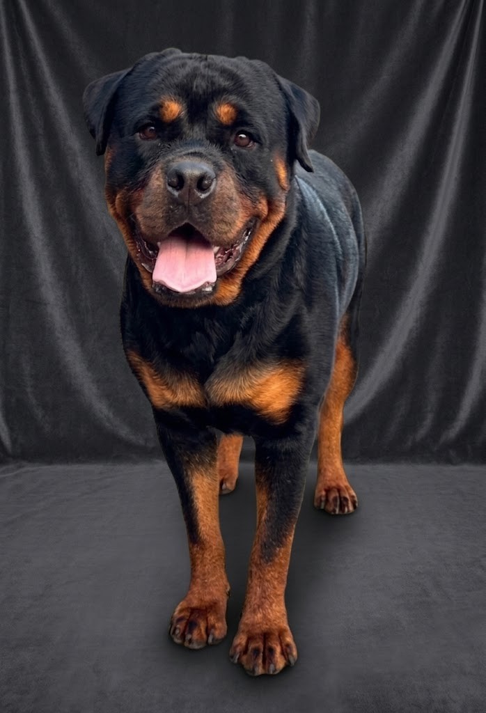 Ragnar